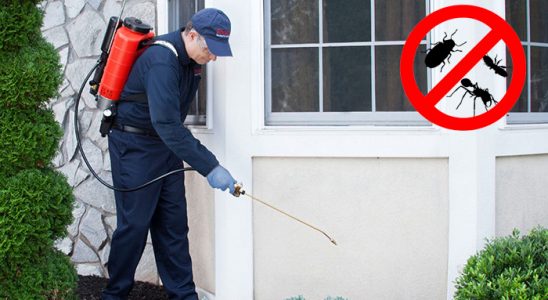 Bayraklı Dezenfeksiyon böcek ilaçlama ve haşere kontrolü — ilaclama-tr.com